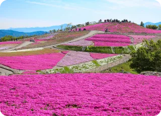 Chausuyama Highlands